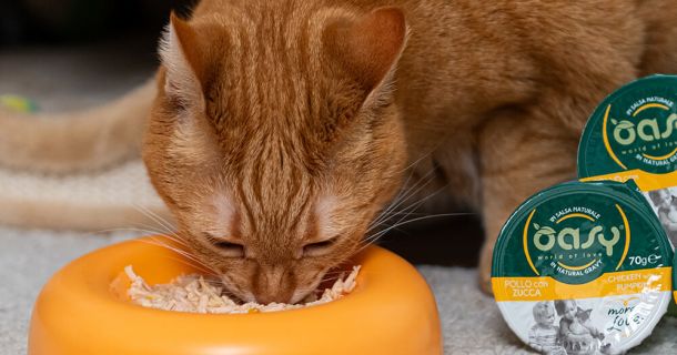 Oasy amplia la linea More Love: nuovi gusti di umidi naturali di alta qualità