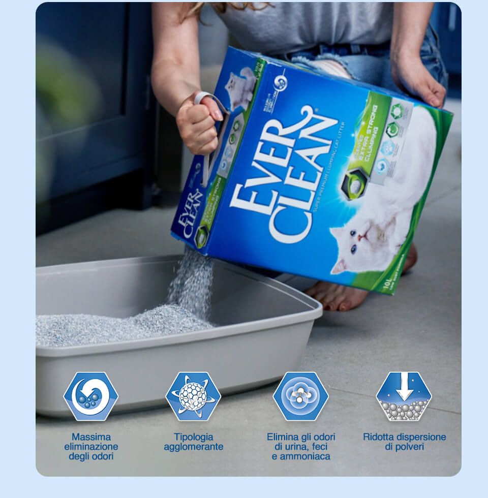 <strong>EVERCLEAN</strong>, superpremium cat litter