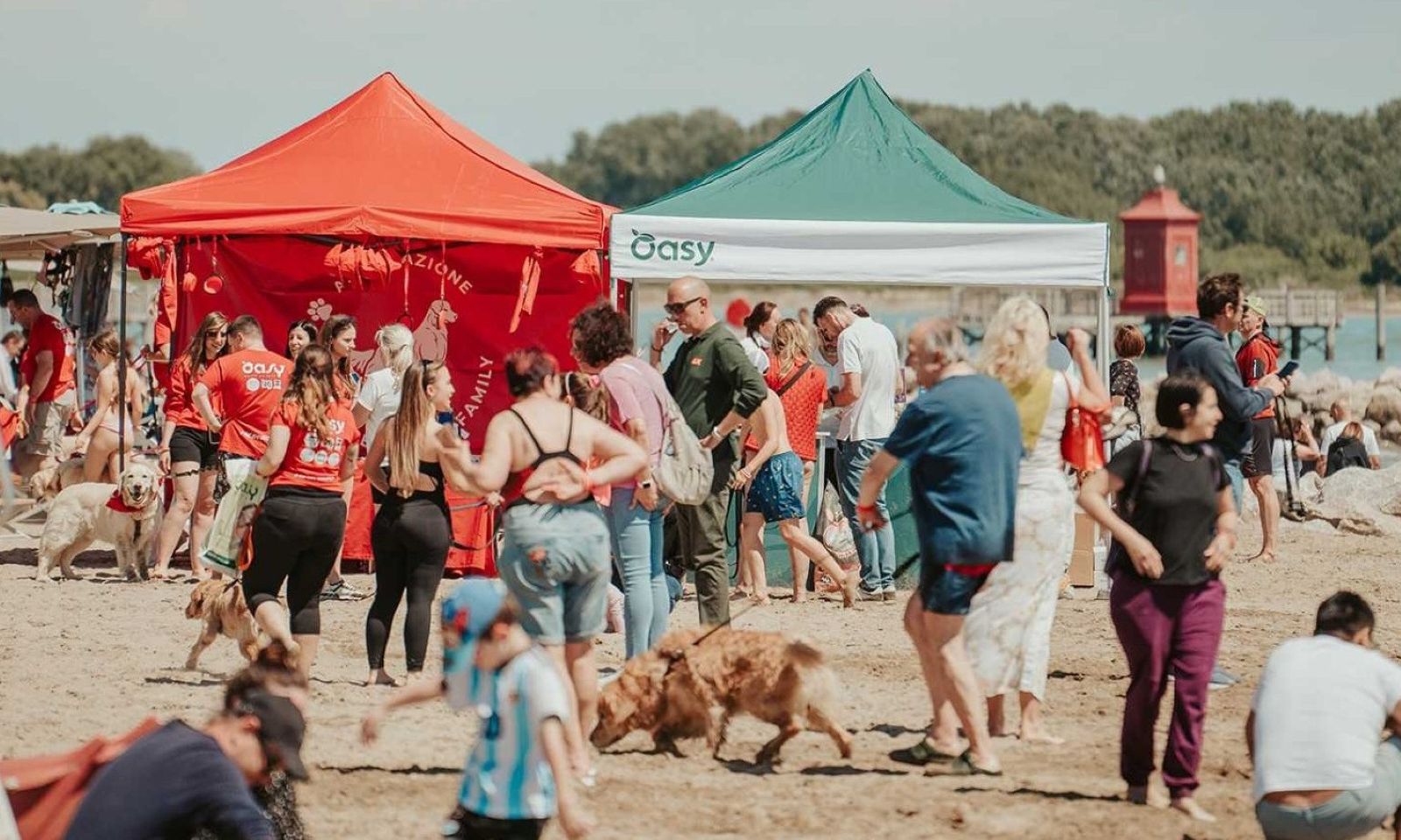 Oasy confirms Golden Retriever Family sponsorship for 2025