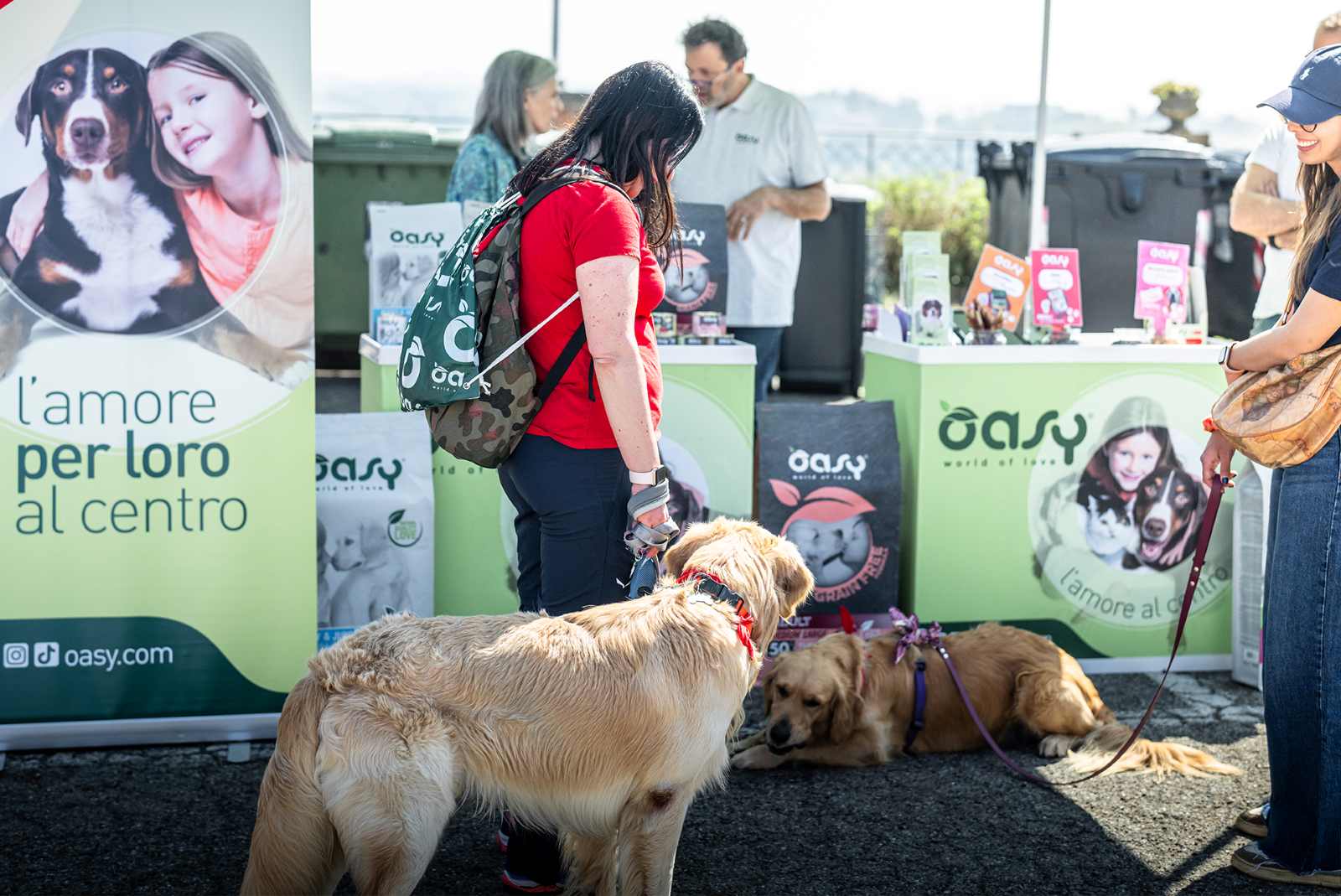 Oasy confirms Golden Retriever Family sponsorship for 2025